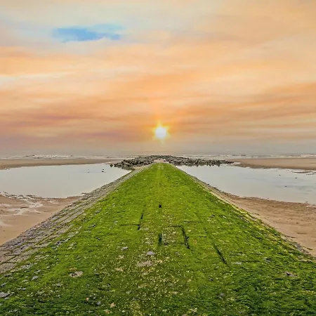 With Terrace On The Seafront Promenade Middelkerke